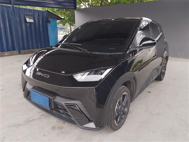 LOTE 023 DOLPHIN MINI GS EV 2023/2024 